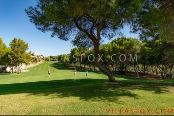 El Galan Luxusvilla mit Pool zu verkaufen ab Villas Fox-37