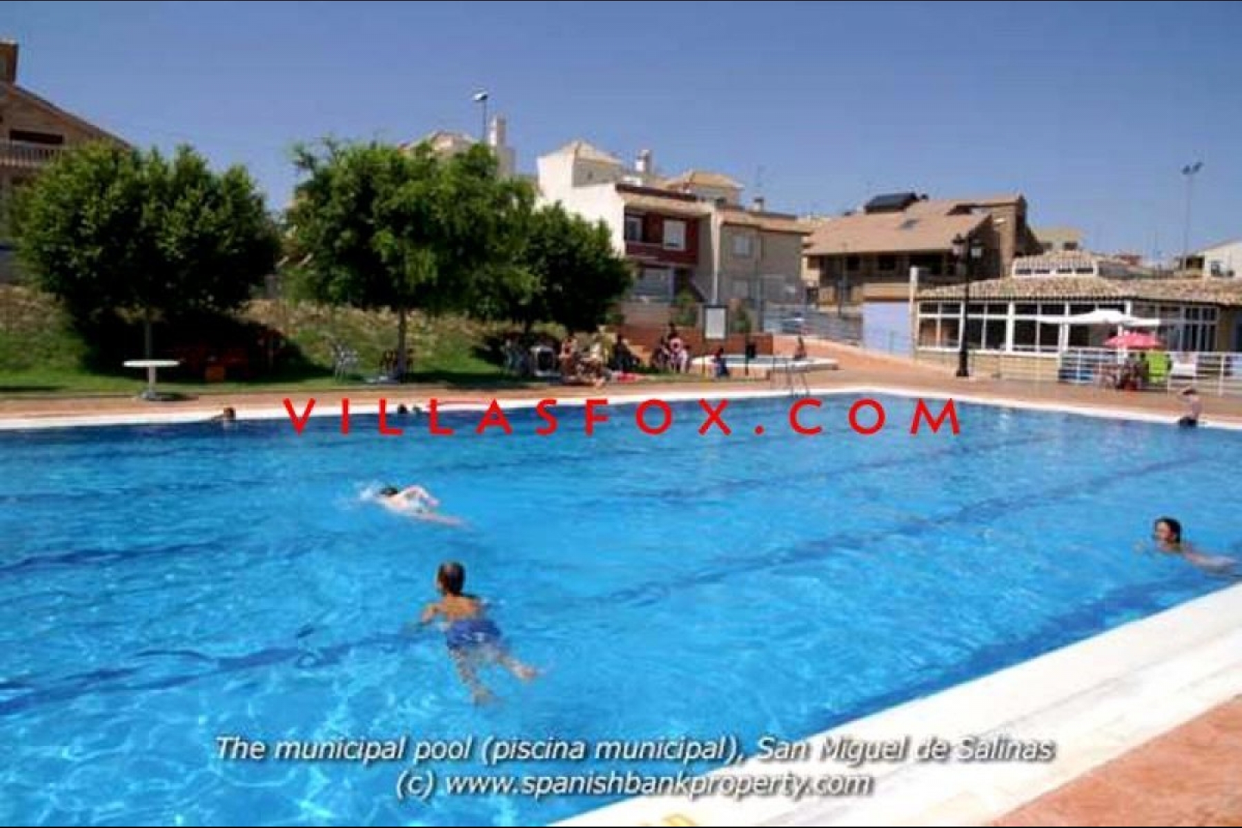 san_miguel_de_salinas_municipal_swimming_pool_piscina