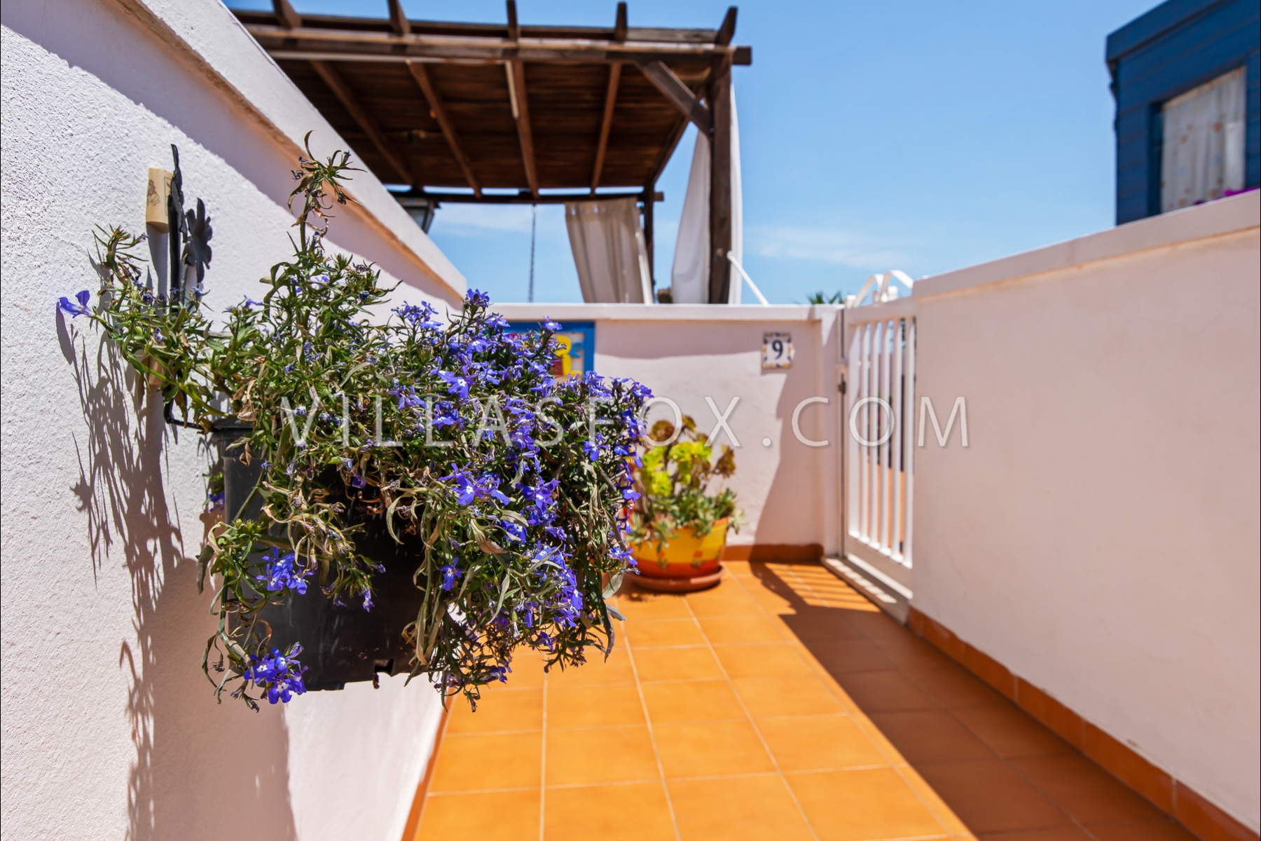 balkon de la Costa Blanca San Miguel de Salinas huis met tuin te koop-76