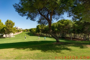 51-1274169712228127_San_Miguel_de_Salinas_Apartment_in_Towncentre_by_Villas_Fox_best_estate_agents