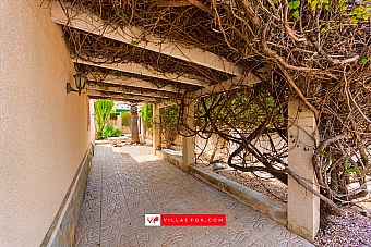 Villas Maria villa, Las Comunicaciones, San Miguel de Salinas-24