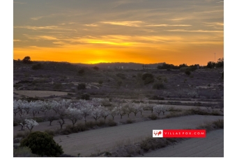 Agriculture montaine view dusk san miguel de salinas Villas fox Agriculture montaine view dusk san miguel de salinas Villas fox