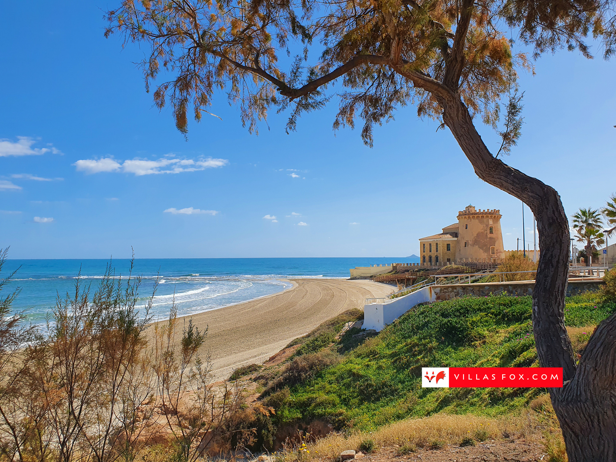 Generic stock photograph (San Miguel de Salinas and Orihuela Costa)-124 Generic stock photograph (San Miguel de Salinas and Orihuela Costa)-124