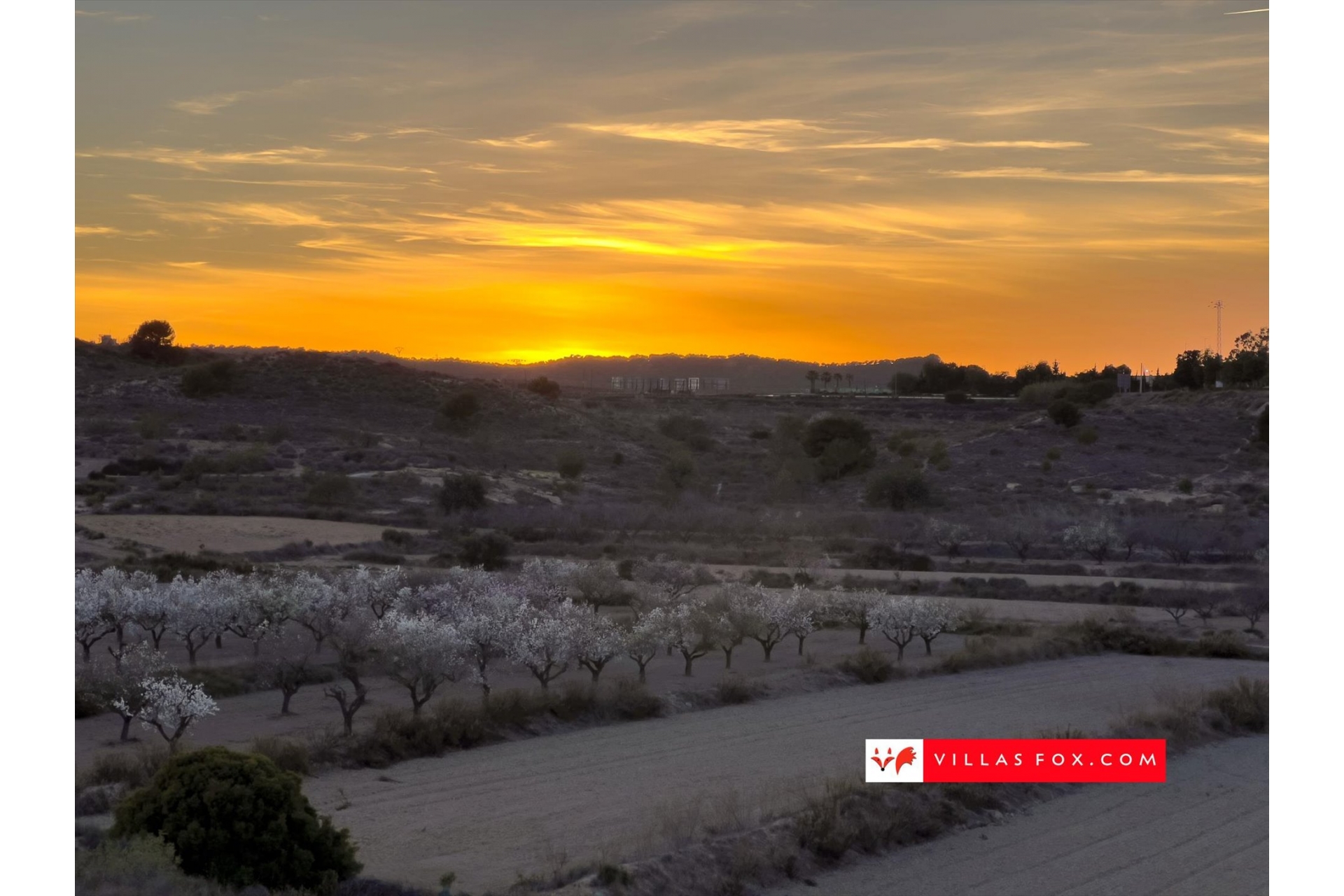 41-San Miguel de Salinas and Orihuela Costa is a great place to live-030