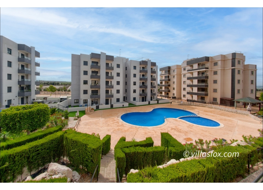 21-126416915288001219_1243_angelina_apartments_san_miguel_de_salinas-25 (1)