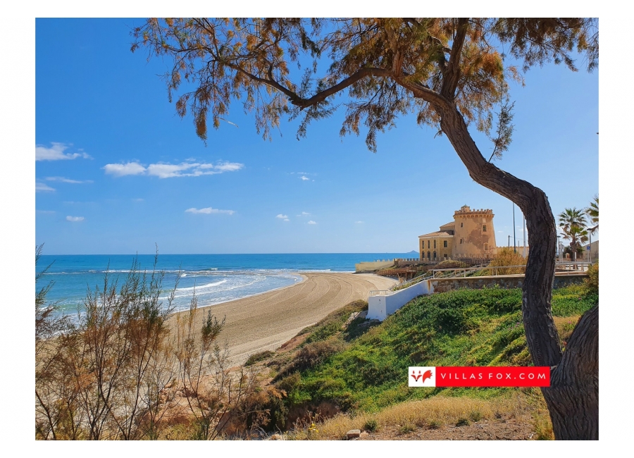46-Torre_de_la_Horadada_beach_tower_tree_villas_fox