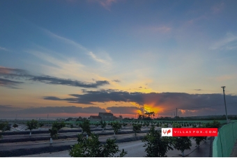 29-Amanecer en campo de naranjos San Miguel de Salinas
