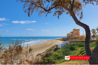 56-Torre_de_la_Horadada_Beach tower_tree_villas_fox