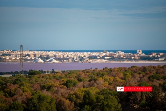 Beste Auswahl an Immobilien in San Miguel de Salinas und Orihuela Costa von Villas Fox-010