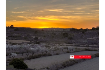 Beste Auswahl an Immobilien in San Miguel de Salinas und Orihuela Costa von Villas Fox-042