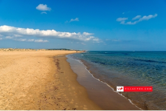 Villas Fox - your local property experts!-108