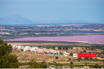 Villas Fox - your local property experts!-143