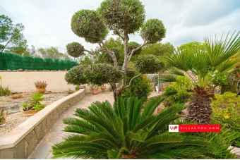 Las Comunicaciones San Miguel de Salinas detached villa for sale-11