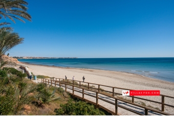 Generic stock photograph (San Miguel de Salinas and Orihuela Costa)-103