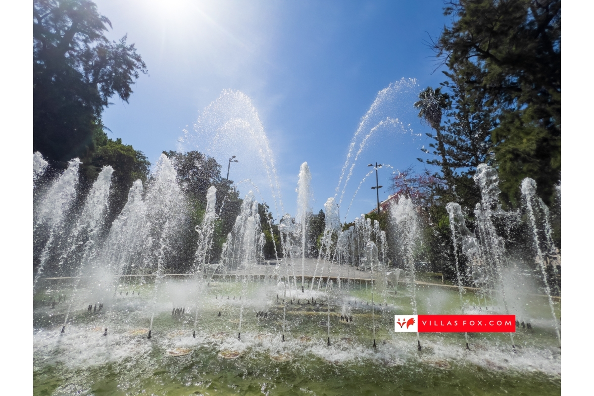 Generic stock photograph (San Miguel de Salinas and Orihuela Costa)-117 Generic stock photograph (San Miguel de Salinas and Orihuela Costa)-117