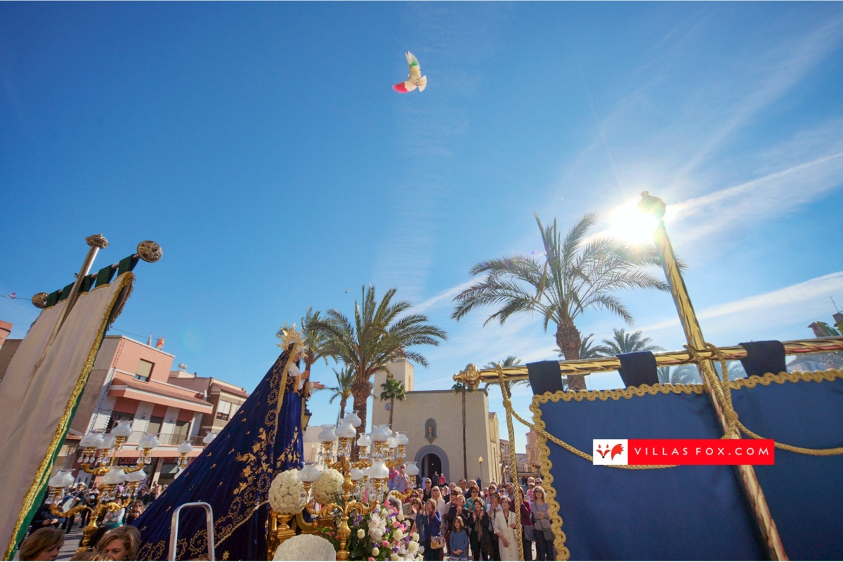 Generic stock photograph (San Miguel de Salinas and Orihuela Costa)-159 Generic stock photograph (San Miguel de Salinas and Orihuela Costa)-159