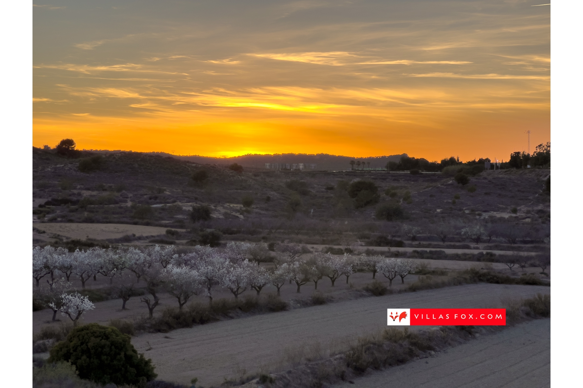 Stock photograph San Miguel de Salinas Orihuela Costa (c) Villas Fox S.L.-047