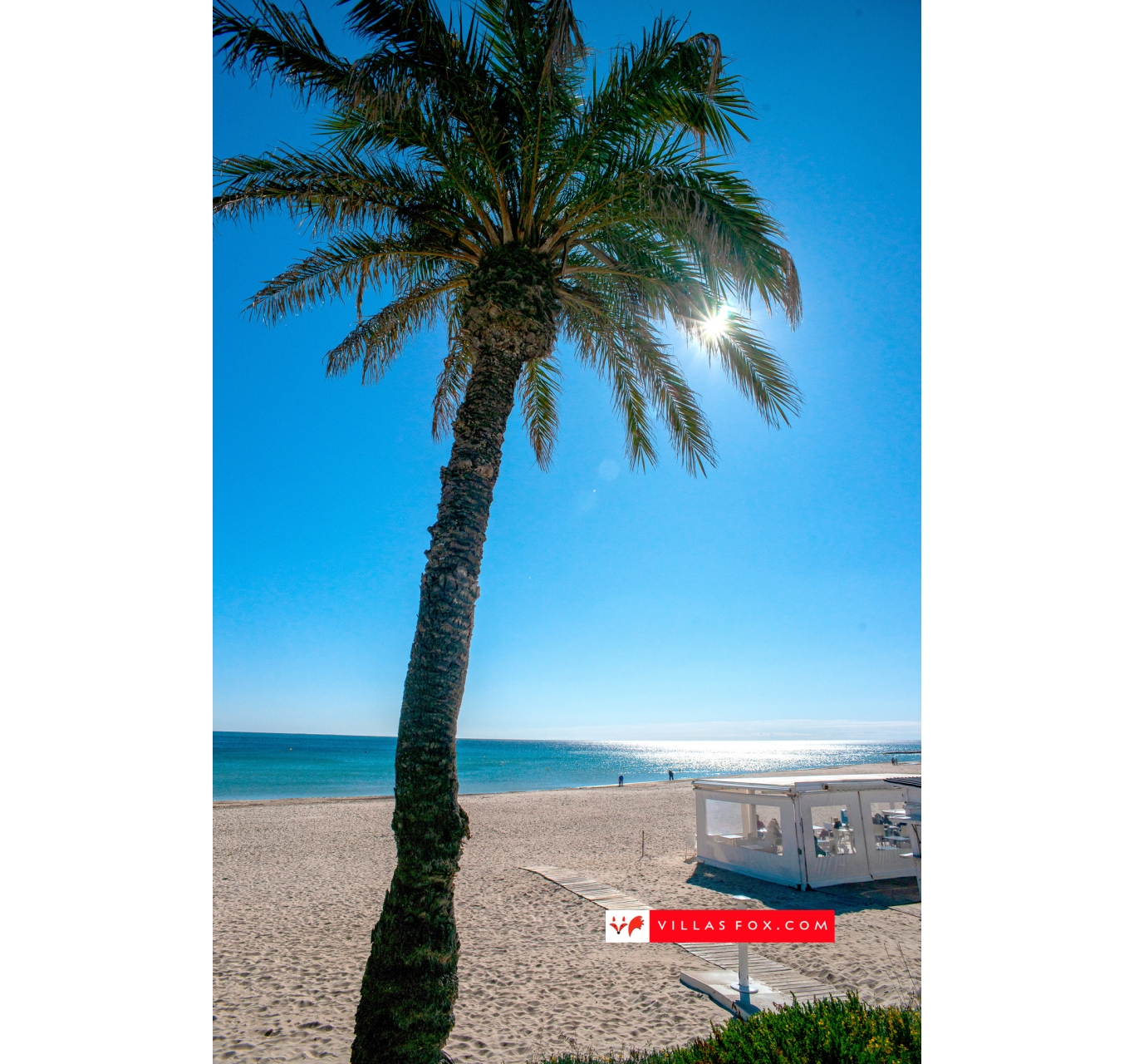 Stock photograph San Miguel de Salinas Orihuela Costa (c) Villas Fox S.L.-106