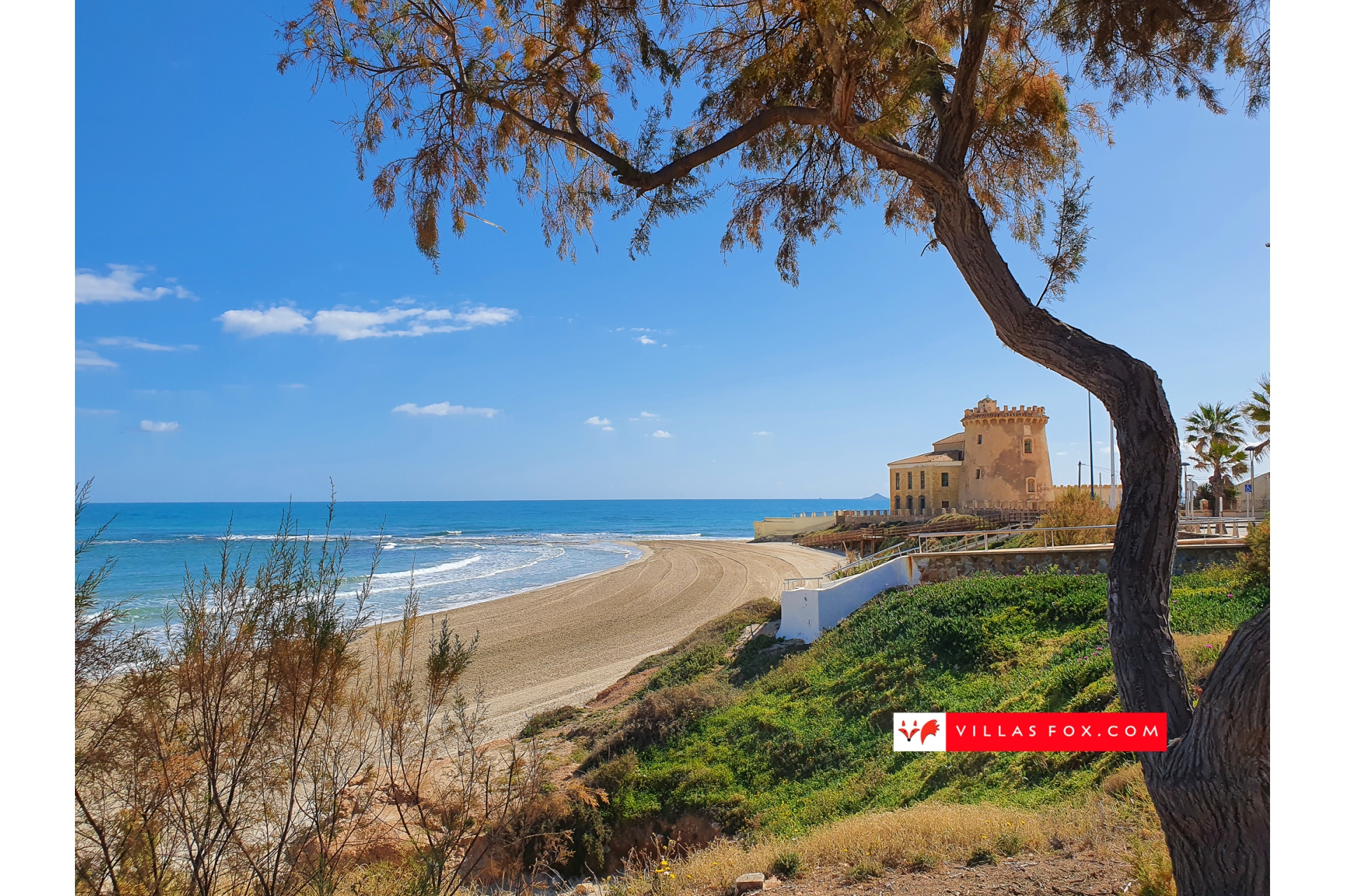 Stock photograph San Miguel de Salinas Orihuela Costa (c) Villas Fox S.L.-124