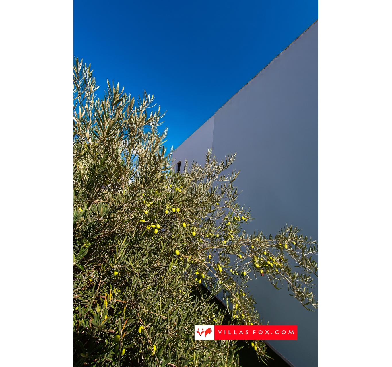 Продається розкішна вілла Las Colinas Country Club Golf Resort-242