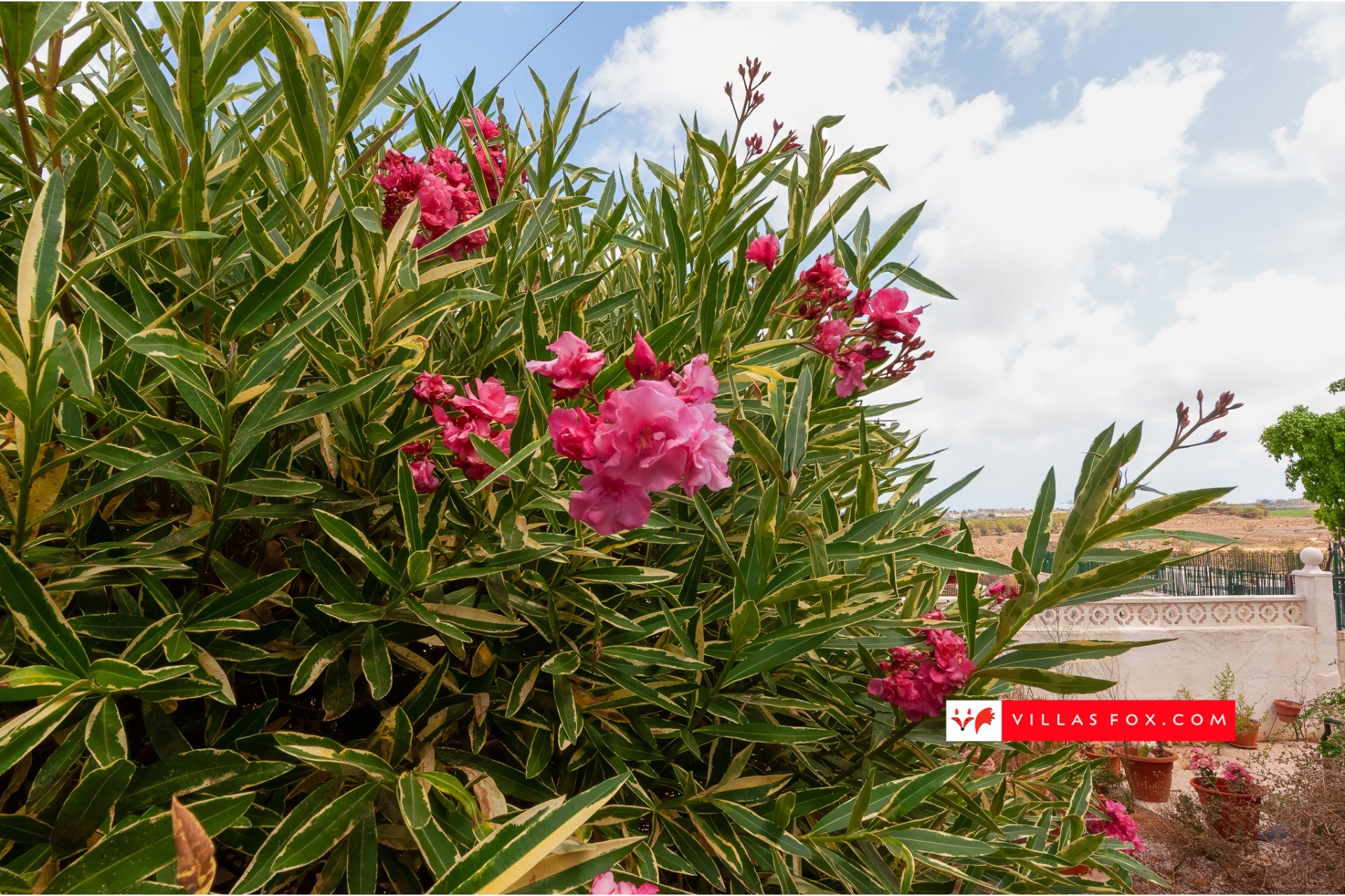 Balcon de la Costa Blanca San Miguel de Salinas casa en venta huis te koop-30