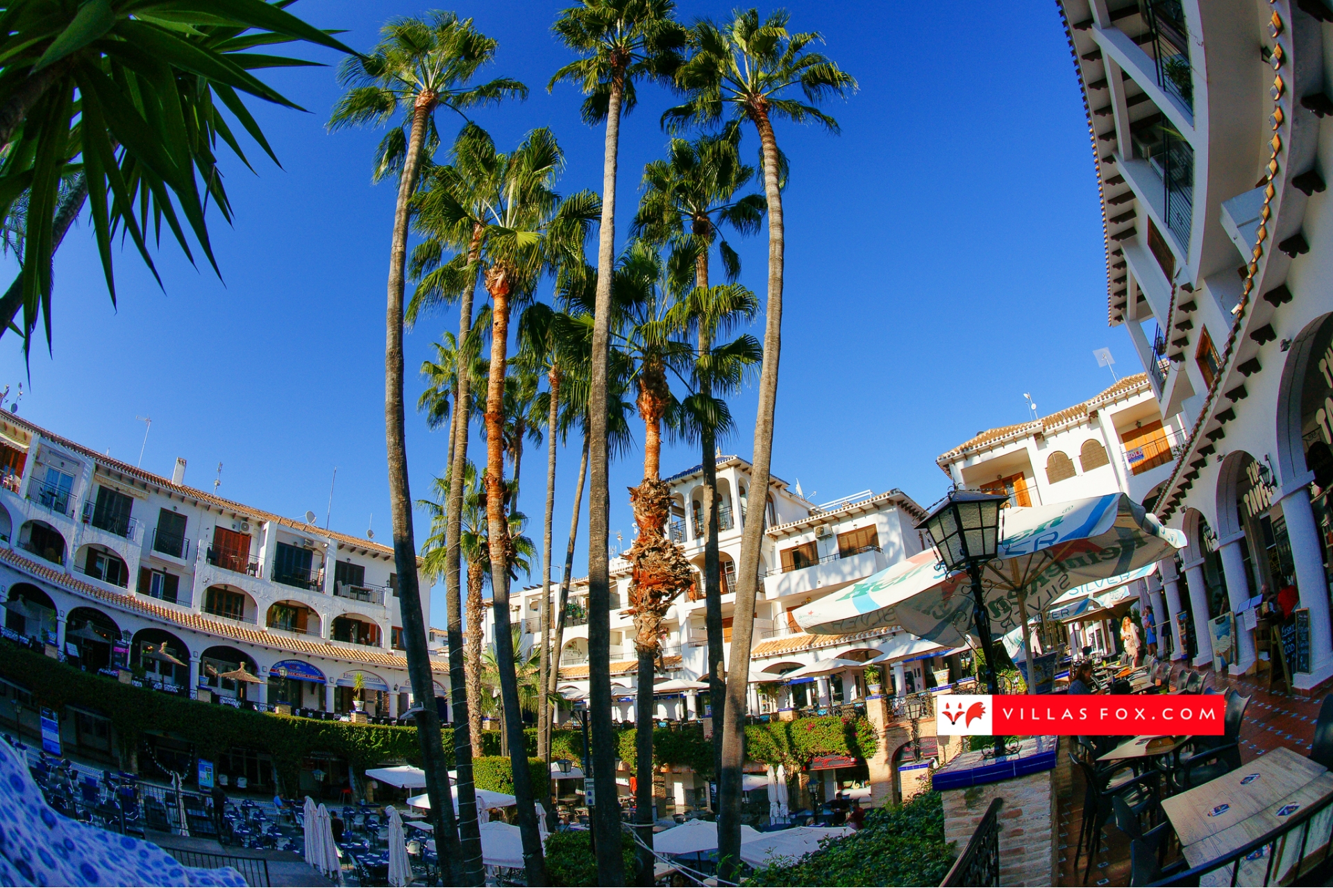 Voorraadfoto San Miguel de Salinas Orihuela Costa (c) Villas Fox SL-072