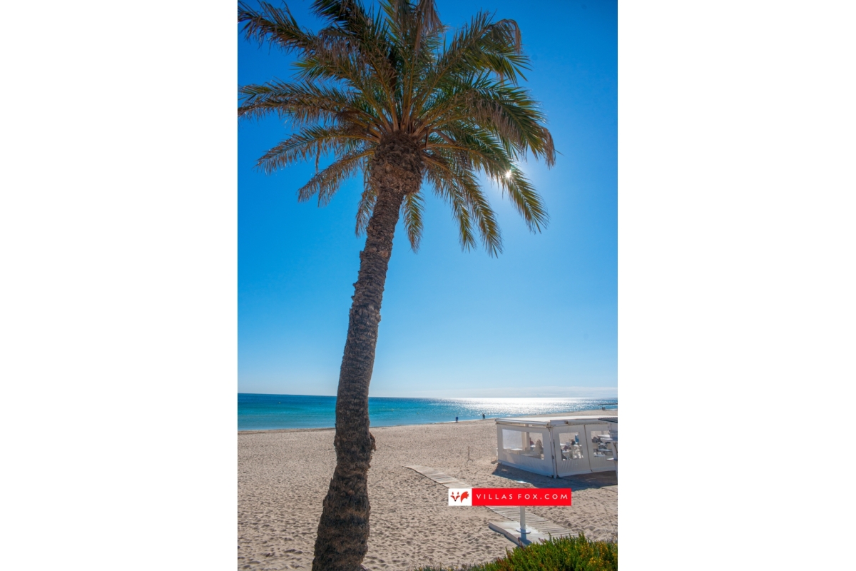 Generic stock photograph (San Miguel de Salinas and Orihuela Costa)-107 Generic stock photograph (San Miguel de Salinas and Orihuela Costa)-107