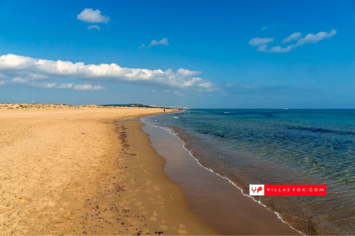 Generic stock photograph (San Miguel de Salinas and Orihuela Costa)-125 Generic stock photograph (San Miguel de Salinas and Orihuela Costa)-125