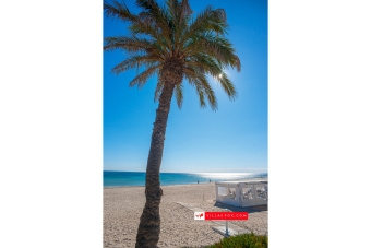 Generic stock photograph (San Miguel de Salinas and Orihuela Costa)-107 Generic stock photograph (San Miguel de Salinas and Orihuela Costa)-107
