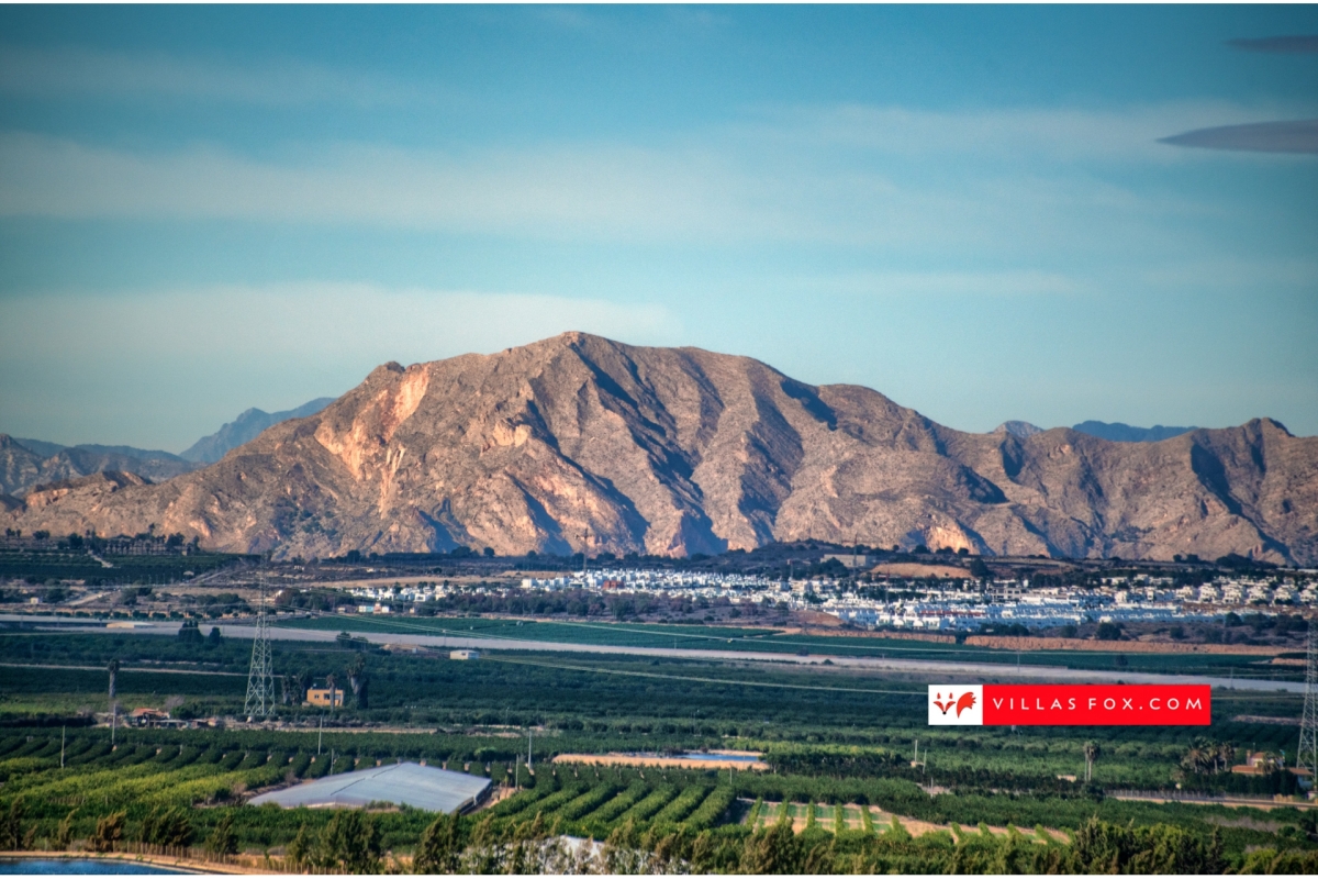 Generic stock photograph (San Miguel de Salinas and Orihuela Costa)-012 Generic stock photograph (San Miguel de Salinas and Orihuela Costa)-012
