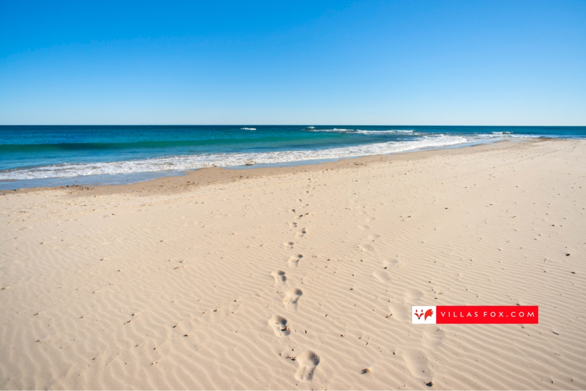 Generic stock photograph (San Miguel de Salinas and Orihuela Costa)-145 Generic stock photograph (San Miguel de Salinas and Orihuela Costa)-145