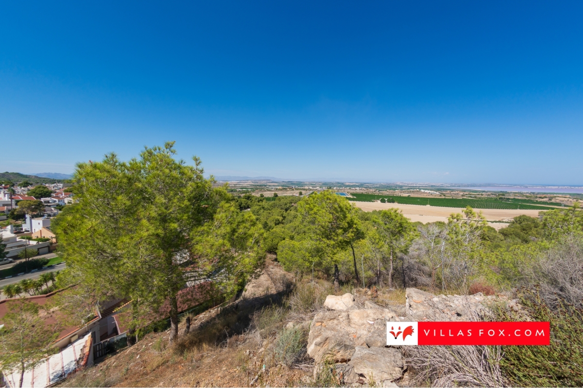 Los Pinos ground-floor studio apartment, San Miguel de Salinas-20 Los Pinos ground-floor studio apartment, San Miguel de Salinas-20
