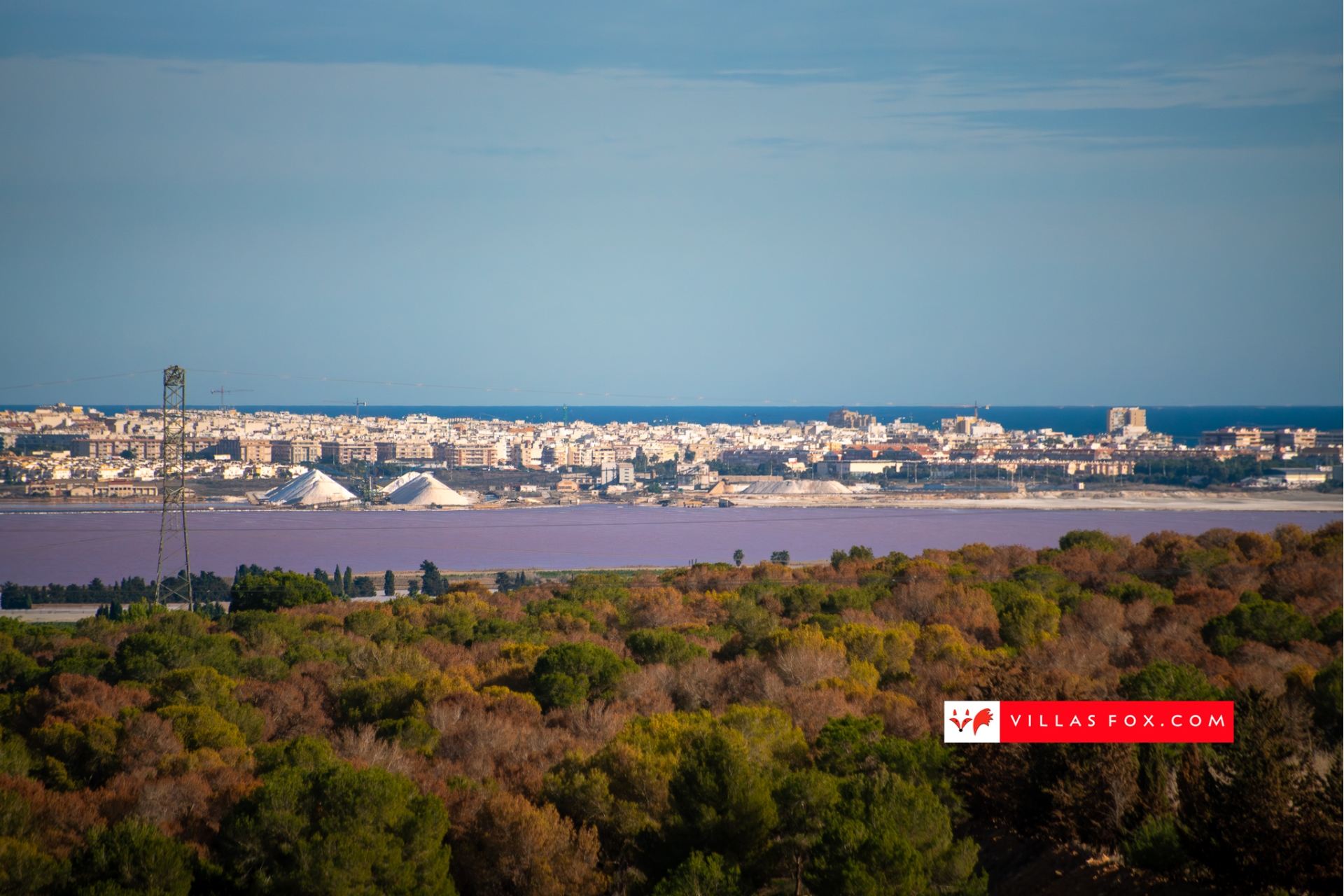 Stock photograph San Miguel de Salinas Orihuela Costa (c) Villas Fox S.L.-015