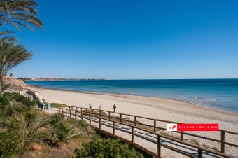 Stock photograph San Miguel de Salinas Orihuela Costa (c) Villas Fox S.L.-103 Stock photograph San Miguel de Salinas Orihuela Costa (c) Villas Fox S.L.-103