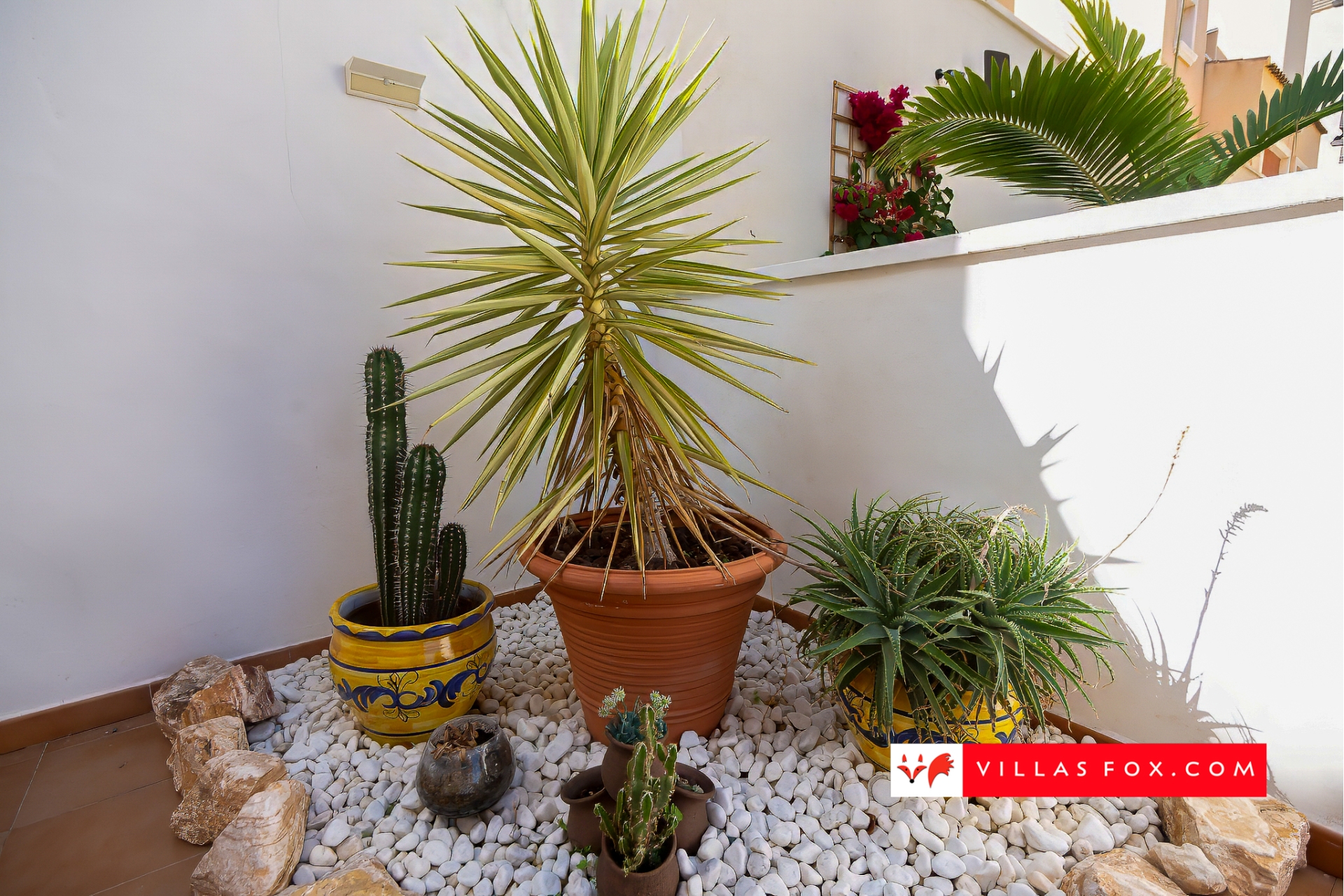 Продається окрема вілла Residencial Los Alcores San Miguel de Salinas-46