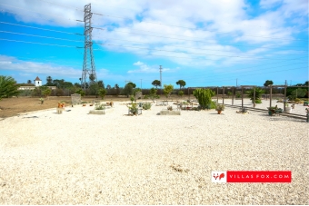 San Miguel de Salinas Los Montesinos -25 San Miguel de Salinas Los Montesinos -25