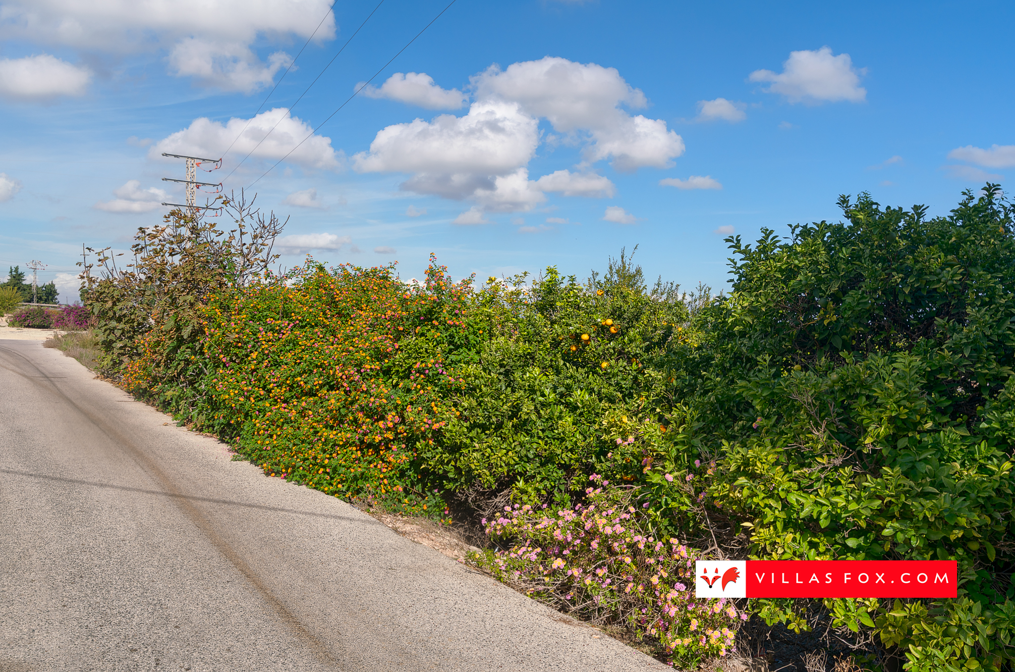 Apartament Costa Paraiso II de vanzare San Miguel de Salinas-66