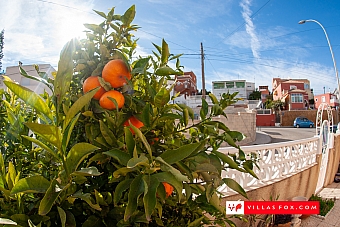 San Miguel de Salinas ground-floor apartment with garden-16