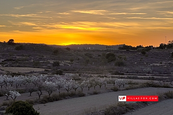 Stock photograph San Miguel de Salinas Orihuela Costa (c) Villas Fox S.L.-047