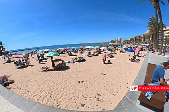 Generic stock photograph (San Miguel de Salinas and Orihuela Costa)-096