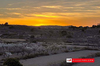 Stock photo San Miguel de Salinas Orihuela Costa-050