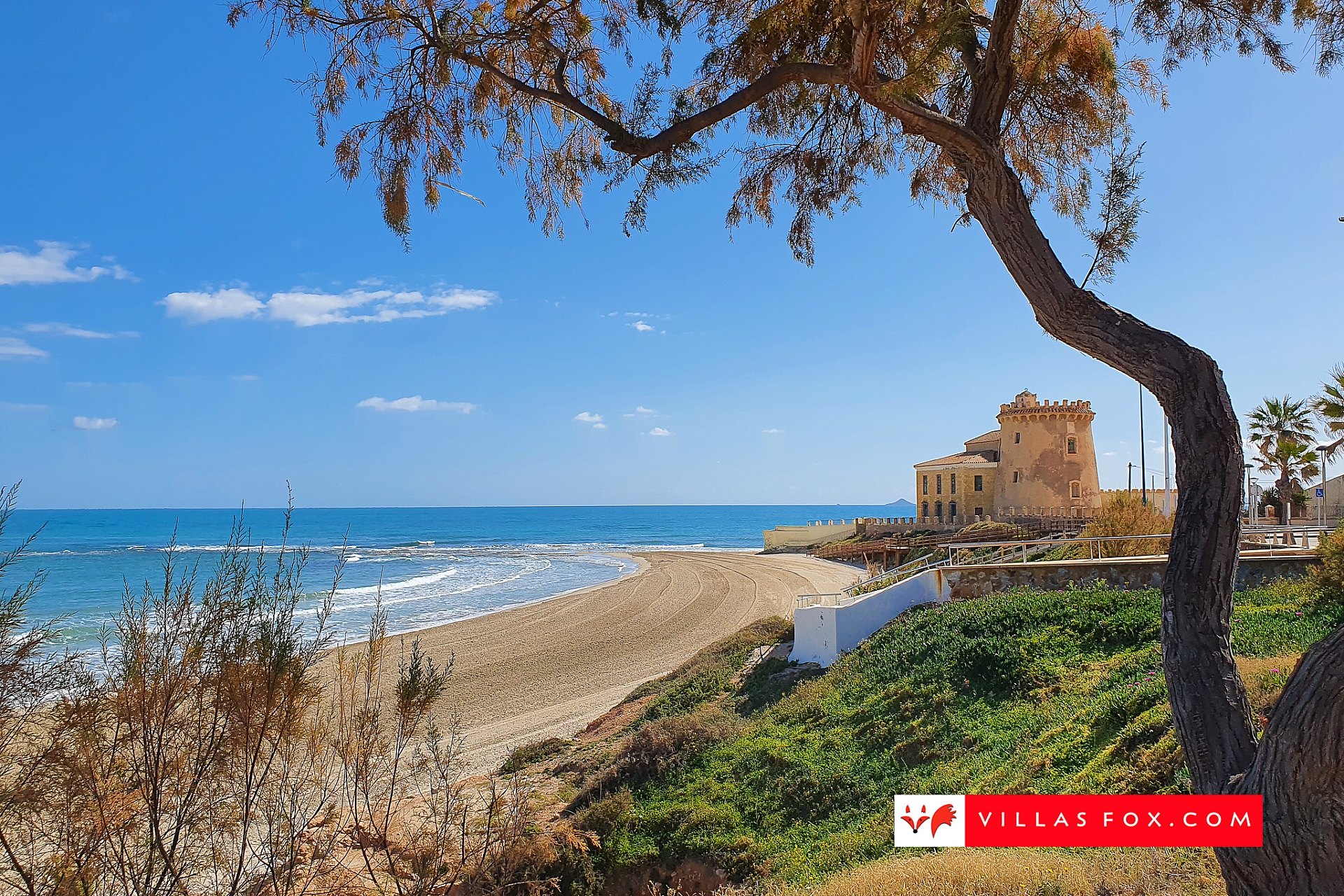 Stock photo San Miguel de Salinas Orihuela Costa-128