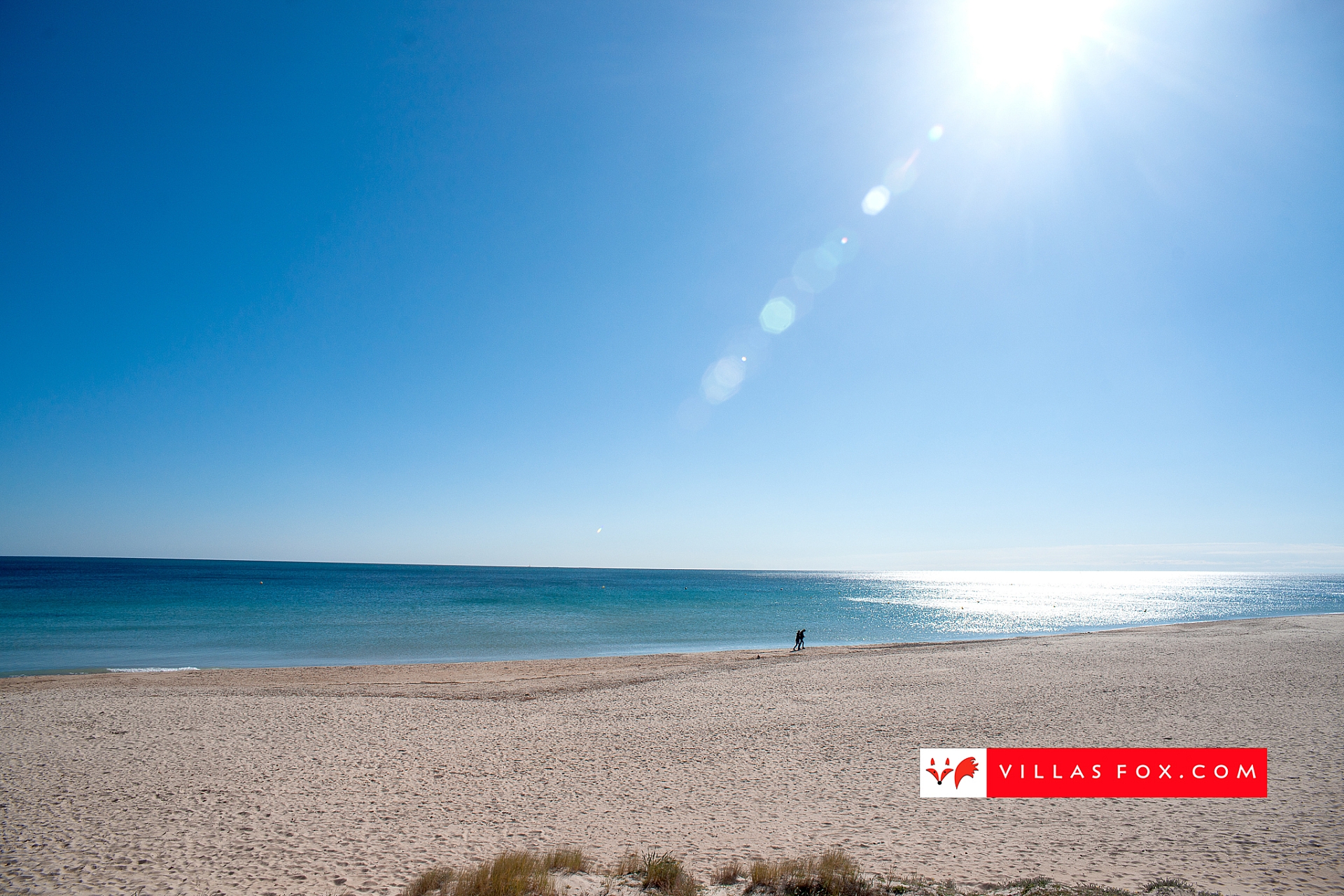 Stock photo San Miguel de Salinas Orihuela Costa-113