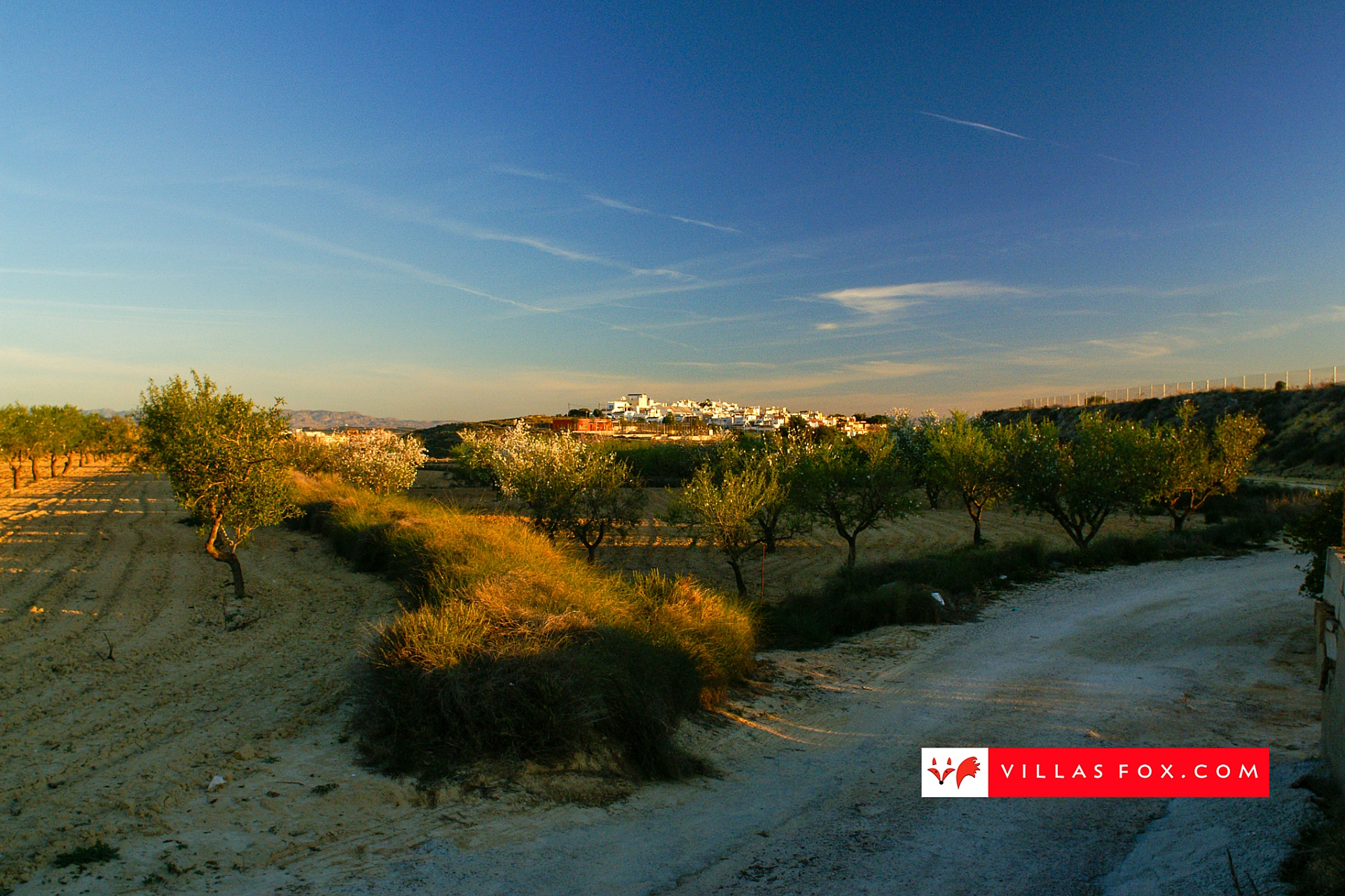 Stock photo San Miguel de Salinas Orihuela Costa-008