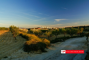 Stock photo San Miguel de Salinas Orihuela Costa-008
