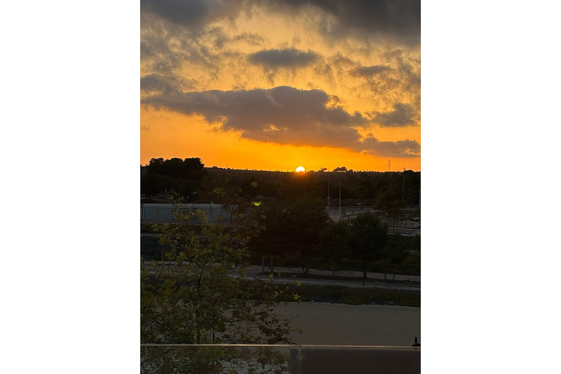ref 1637 sunset