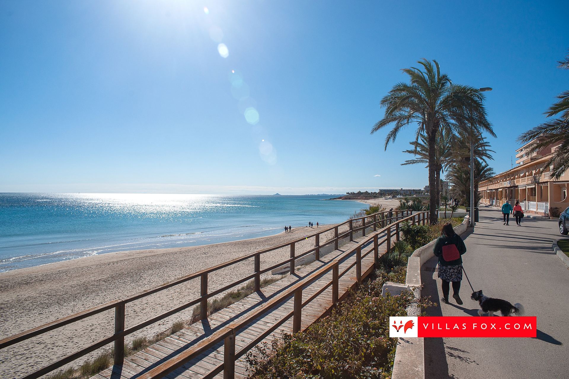 Stock photo San Miguel de Salinas Orihuela Costa-106