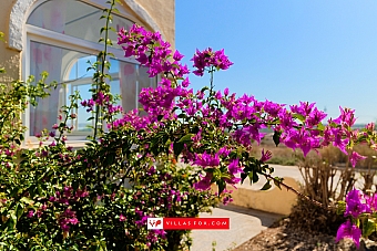 Balcón de la Costa Blanca townhouse for sale, San Miguel de Salinas