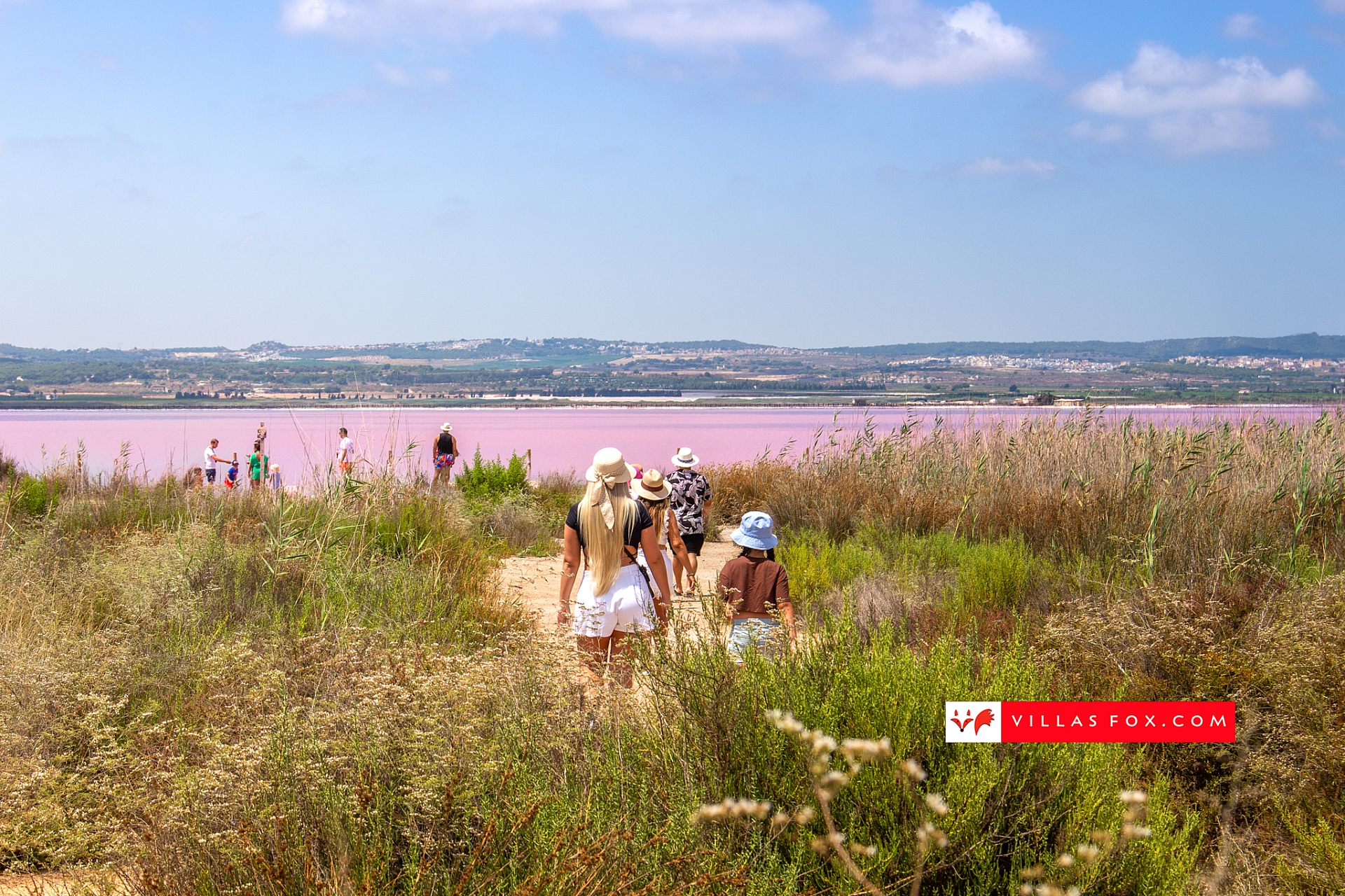 Generic stock photograph (San Miguel de Salinas and Orihuela Costa)-037