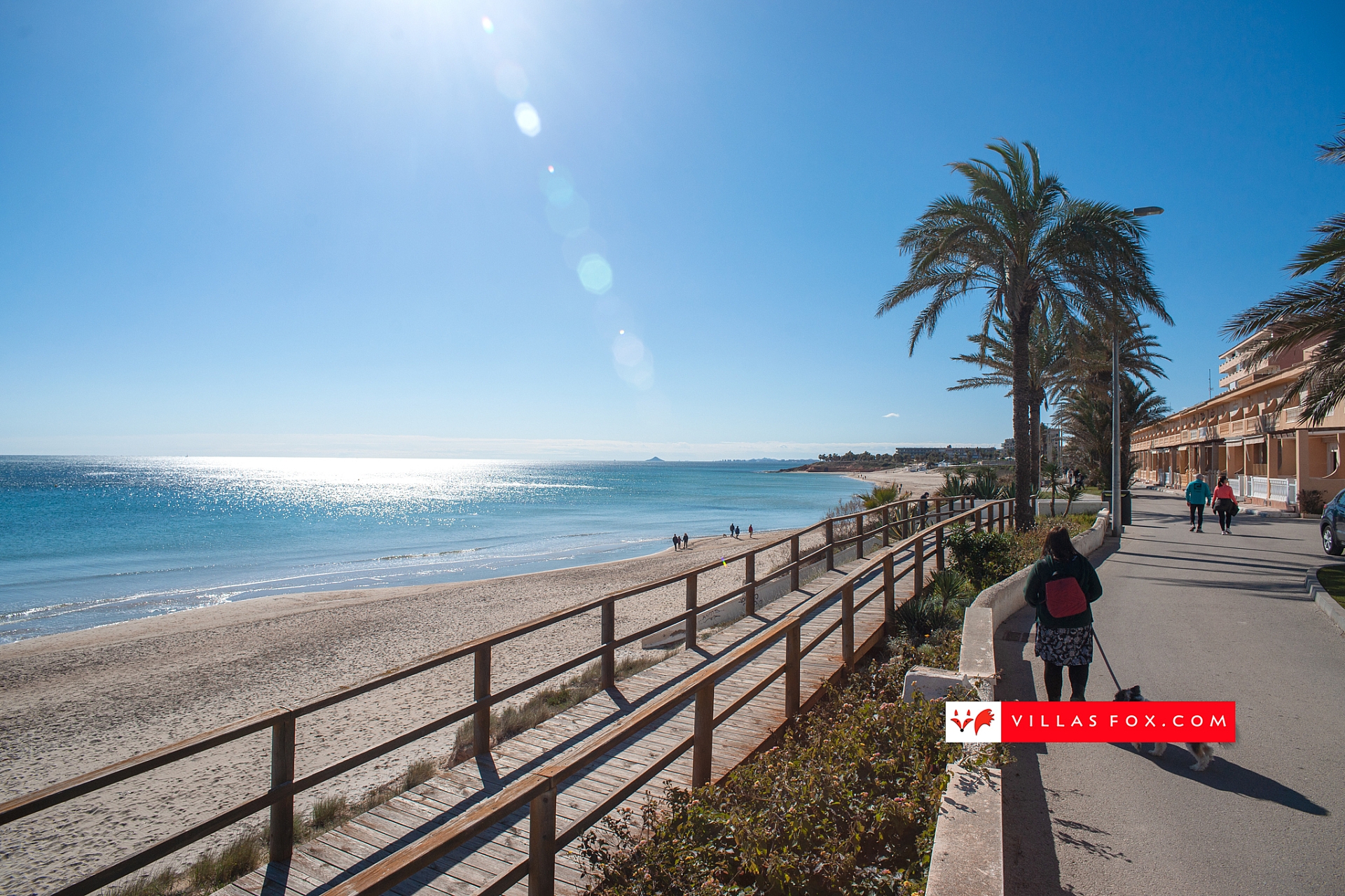 Generic stock photograph (San Miguel de Salinas and Orihuela Costa)-102